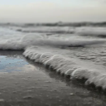 Lux Eika * Năvodari